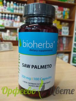 ХРАНИТЕЛНИ ДОБАВКИ Бъбреци и пикочен мехур Сау Палмето 350 мг, 100 капсули Saw palmetto